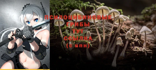 бутират Няндома