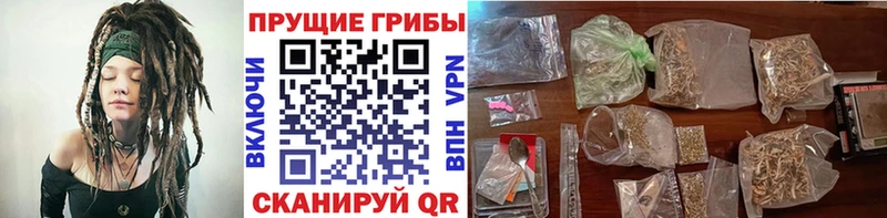 ссылка на мегу сайт  закладка  Новое Девяткино  Галлюциногенные грибы Psilocybine cubensis 